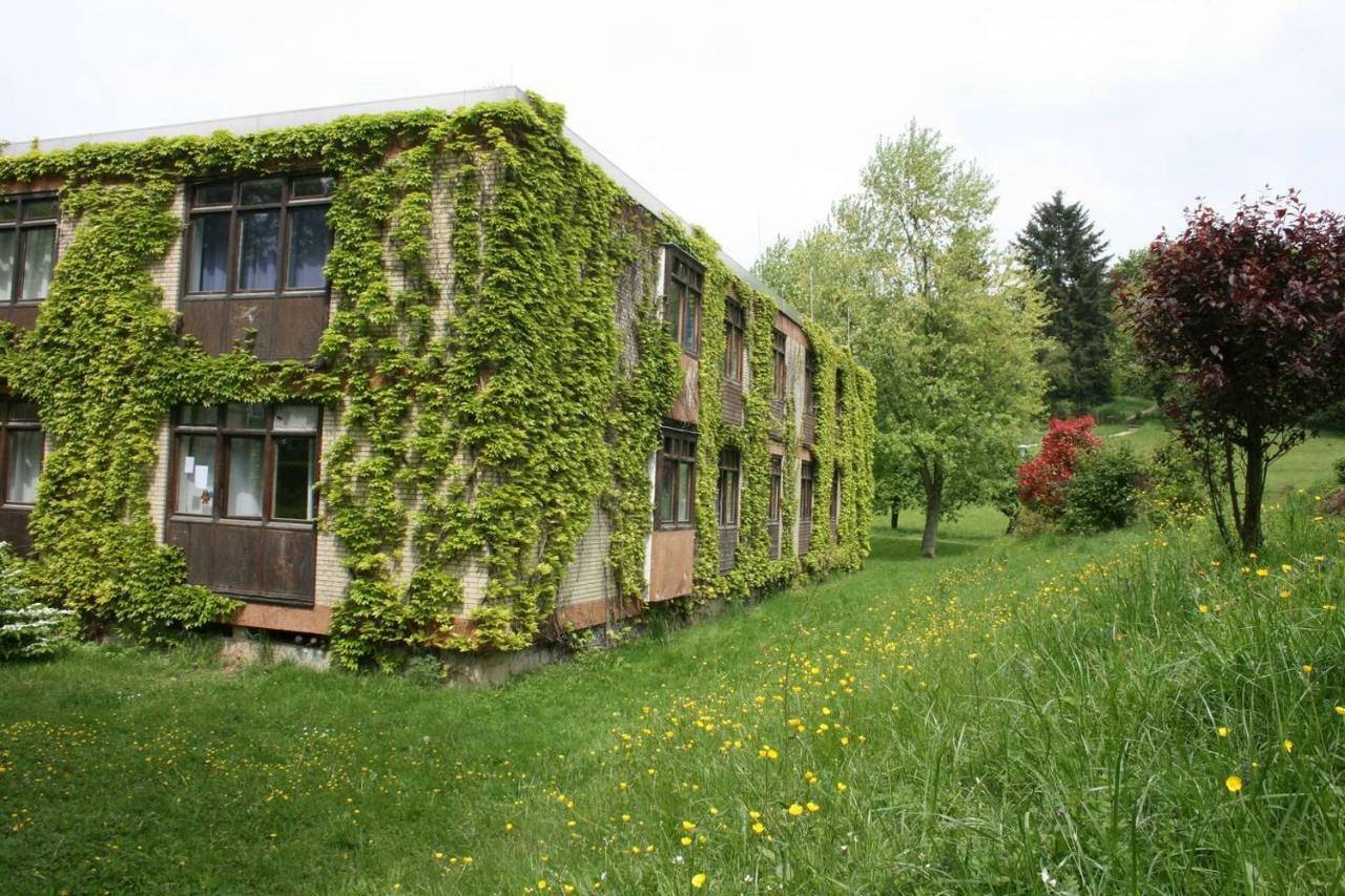 Wildbach Appartement Ober-Hambach エクステリア 写真